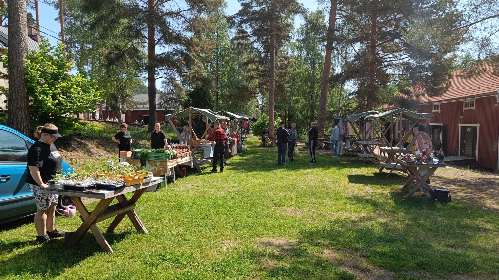 Verla kesätori