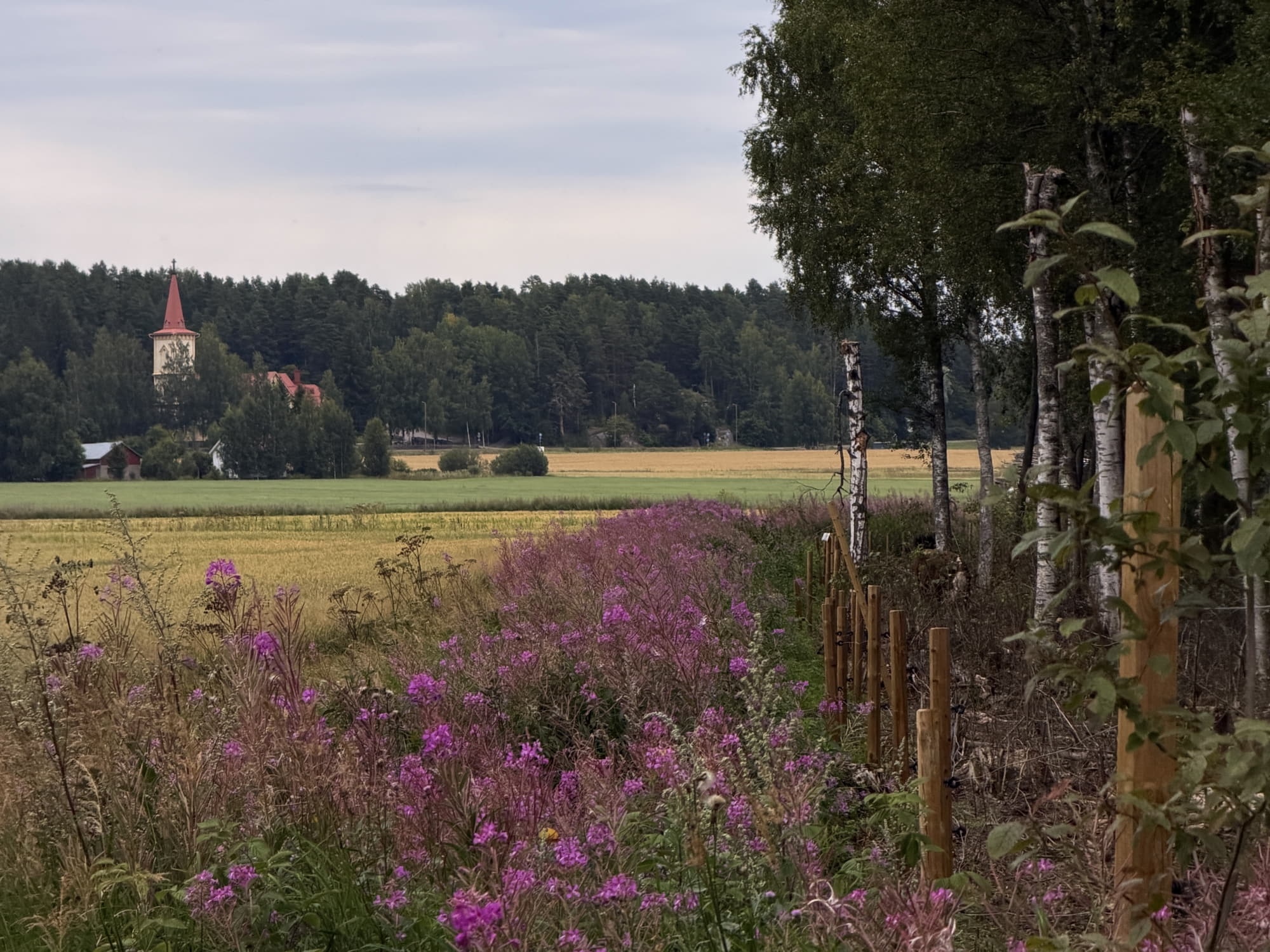 Jaalasta saatiin kuvasatoa