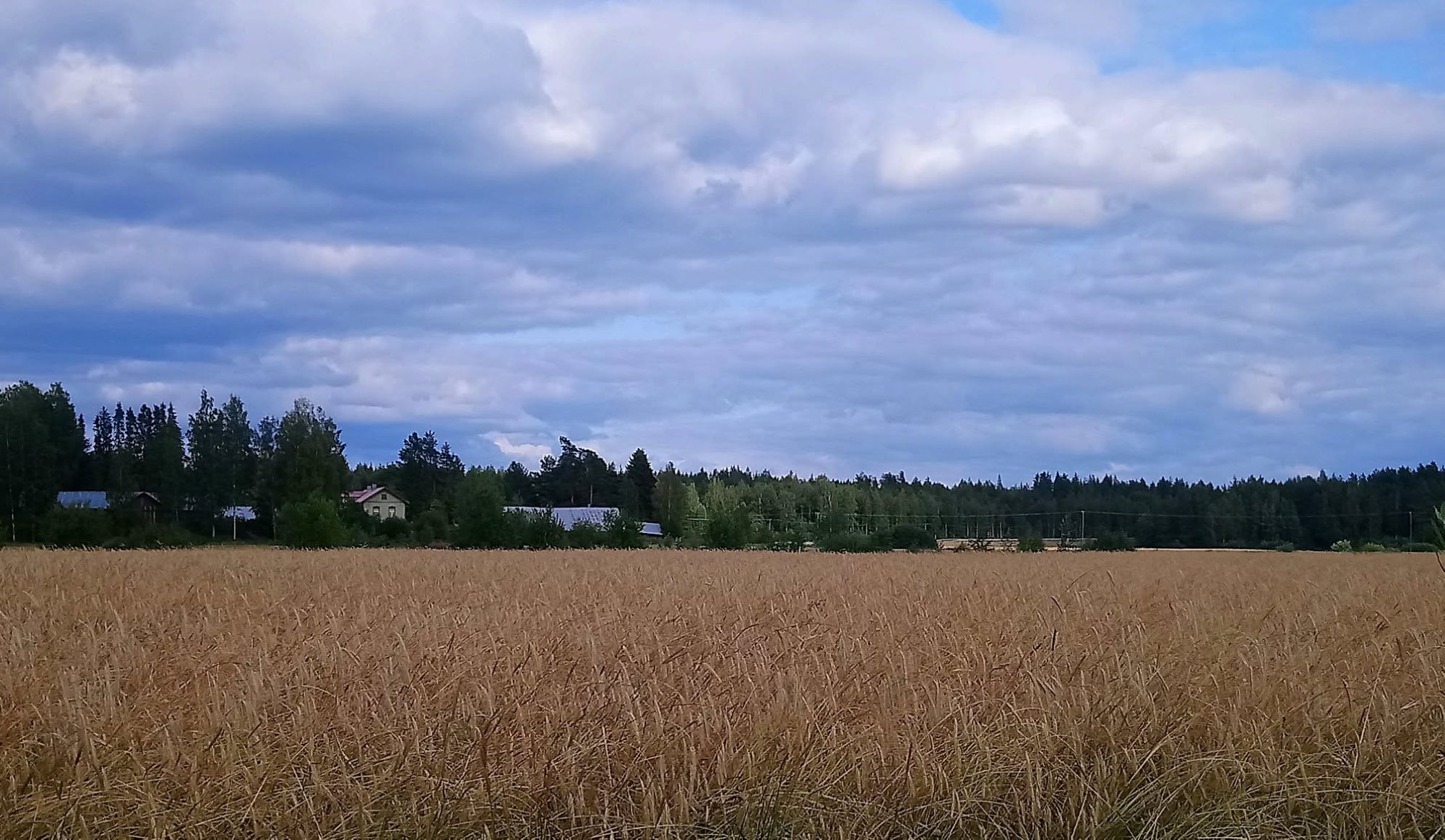 Uutispuuro tuo syksyn sadon yhteiseen pöytään