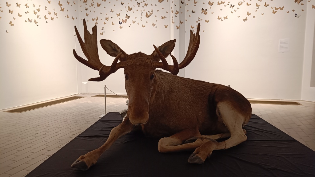Mari Keto taiteilijatapaamisessa lauantaina 18.10. Kouvolan taidemuseossa