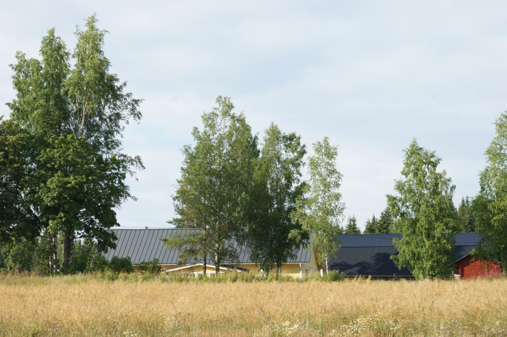 Syvänoja